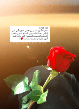 جميلة انتي تشبهين السلام 4