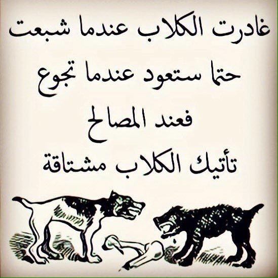 خلفيات واتس عن المصالح 5