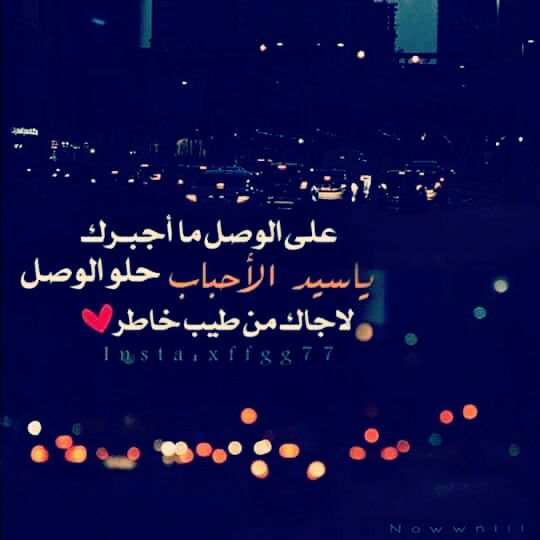 اشعار تويتر مدح 4