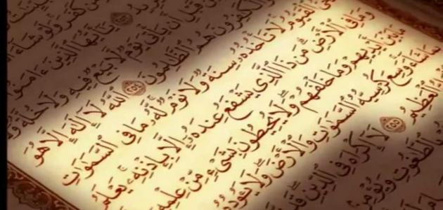 ايات قرانية عن التضامن