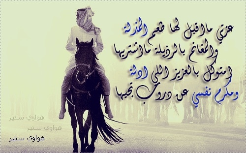 شعر عن عزة النفس بدوي