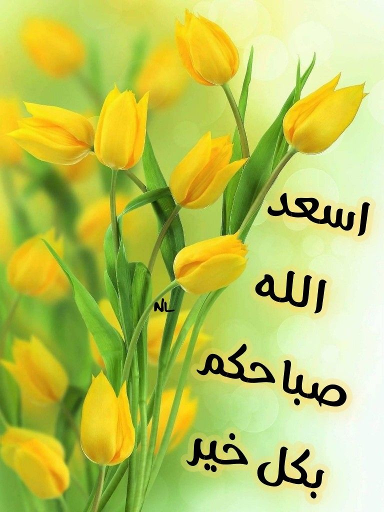 الله يسعد صباحك