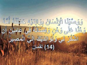 ايات قرانية عن بر الوالدين