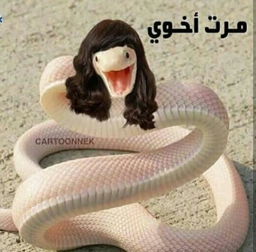 عبارات عن زوجة الأخ السيئة 