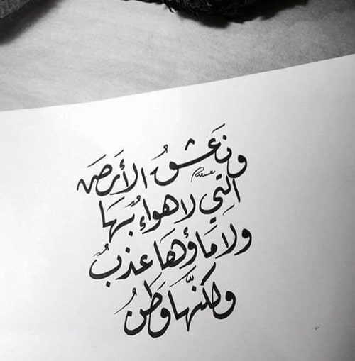 عبارات عن الوطن قصيرة