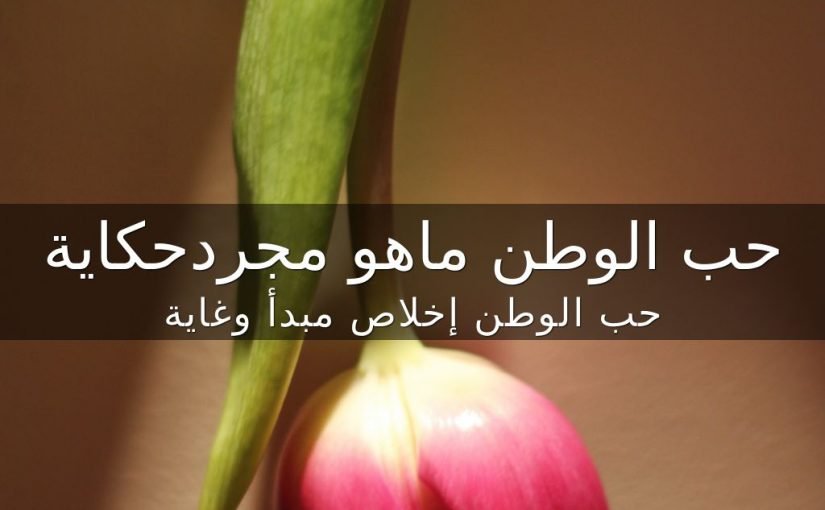 كلمات في حب الوطن