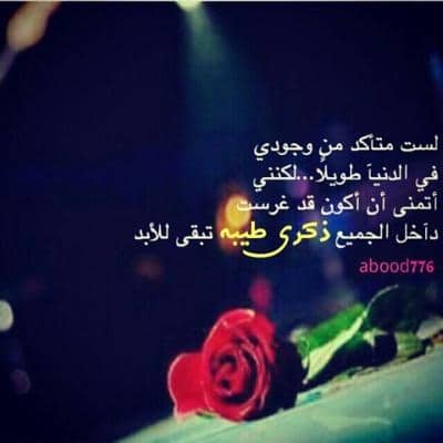 رمـزيات في مثل هذا اليوم أصبحت على ذمة عاشق 3