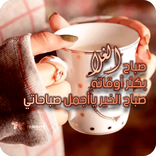 يسعد صباحك يا أجمل صباحاتي