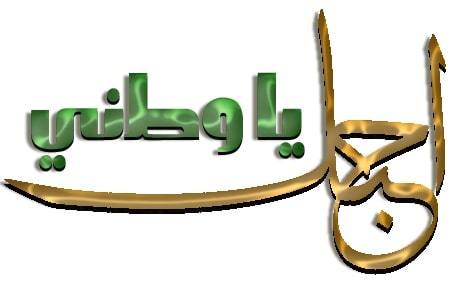 عبارات عن حب الوطن تويتر