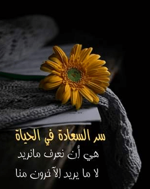 السعادة في الحياة