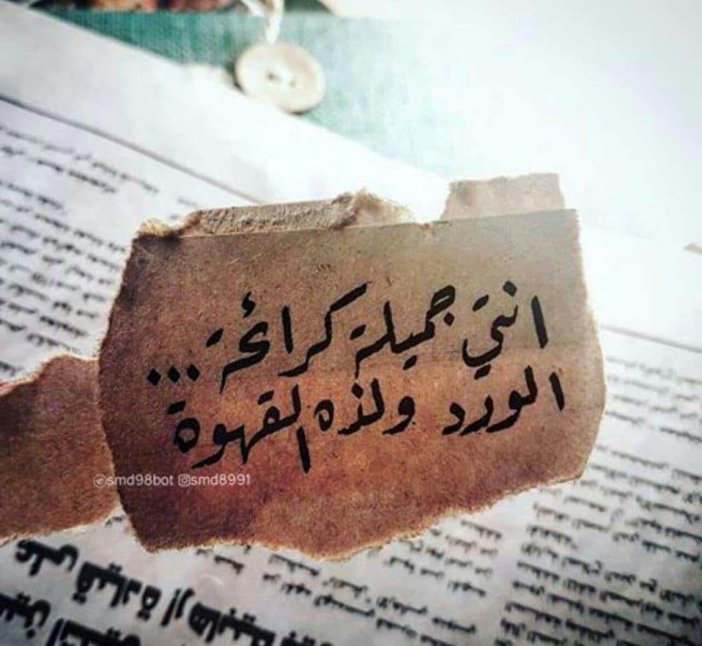 انتي جميله تويتر 6