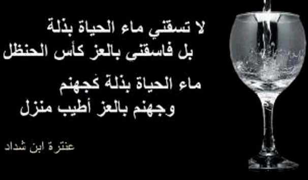 أبيات شعر عن عزة الإسلام