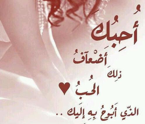 كلام حبيبي أحبك