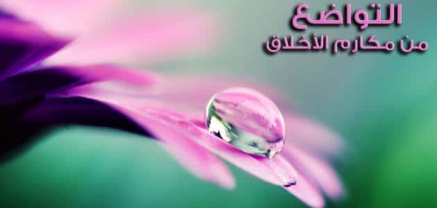 امثلة على التواضع بين الناس