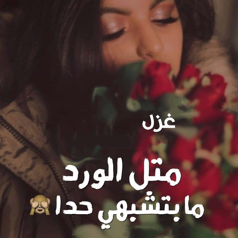 مدح تويتر غزل