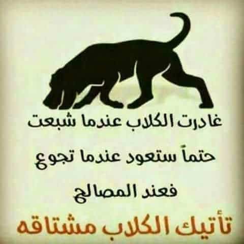 زمن المصالح والنفاق