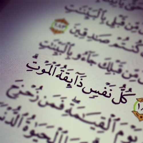 آيات قرآنية عن الموت بالصور ١