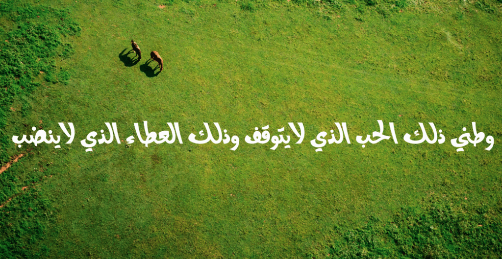 عبارات وصور عن الوطن 3