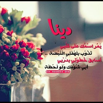 بوست باسم دينا 1