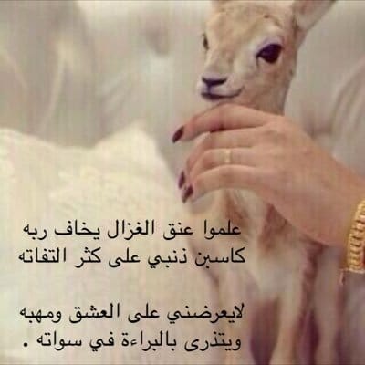 عبارات عن جمال الغزال تويتر 1