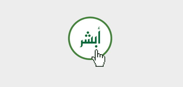 الاستعلام عن رصيد المدفوعات للشركات