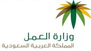 الاستعلام عن رصيد المدفوعات للشركات
