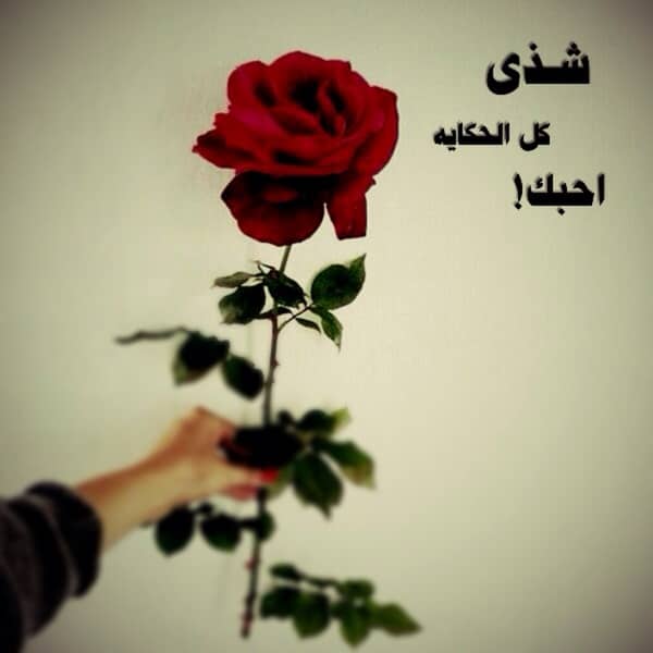 شعر باسم شذى - اسم شذى مزخرف بالورد 1
