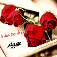 بوست باسم عبير 2