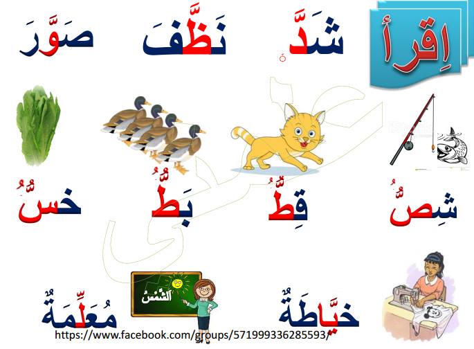 امثلة عن الشدة
