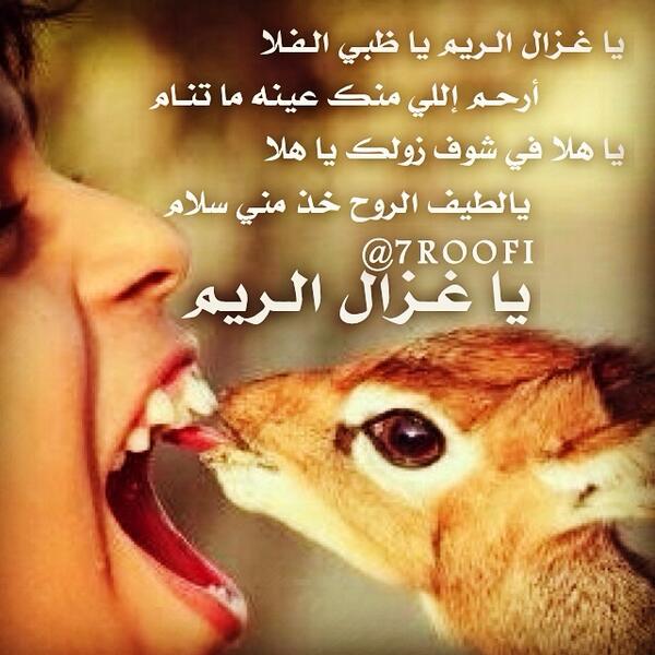 عبارات عن جمال الغزال تويتر 2