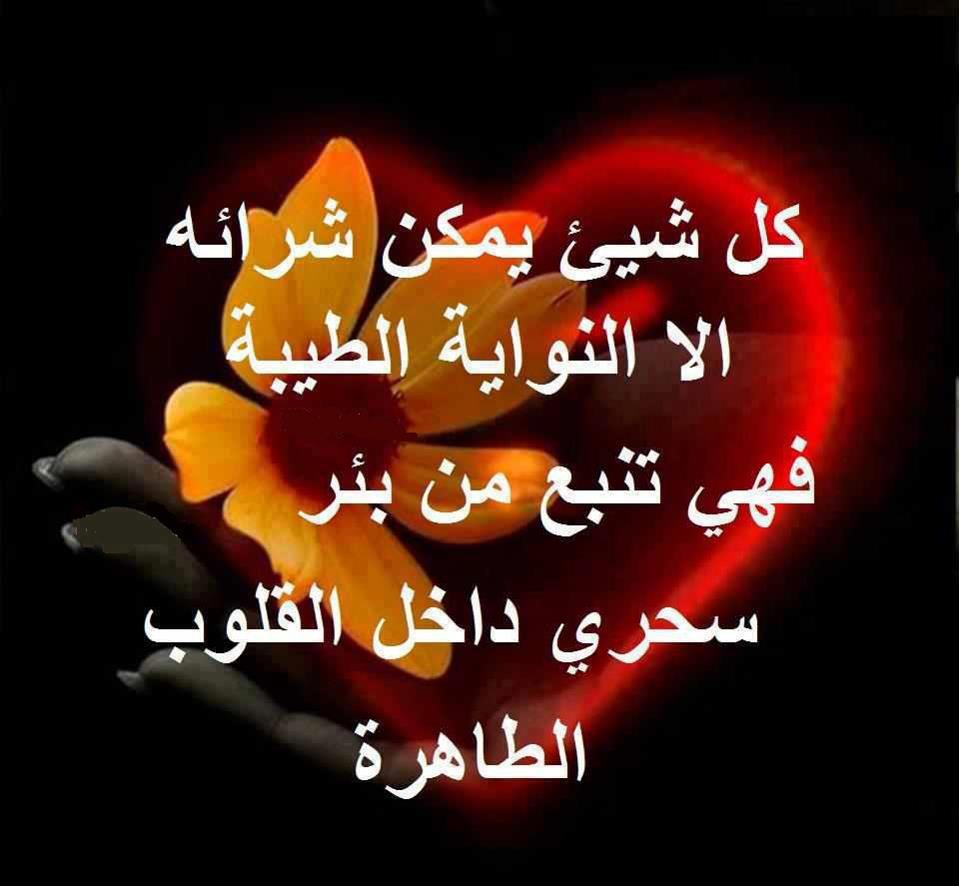 أمثال وحكم قديمة