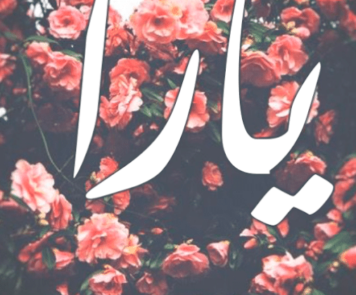 اجمل الصور مكتوب عليها اسم يارا 2