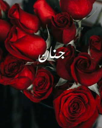 صور باسم حنان 2