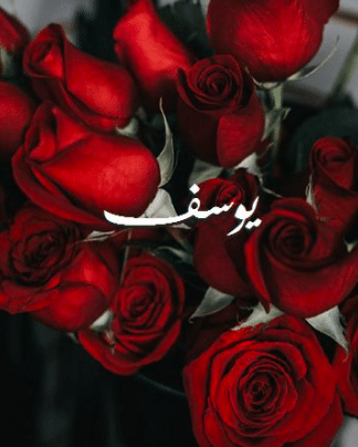 اجمل الصور عن اسم يوسف 3