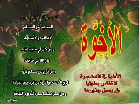بوستات عن الأخوات الجدعان 3