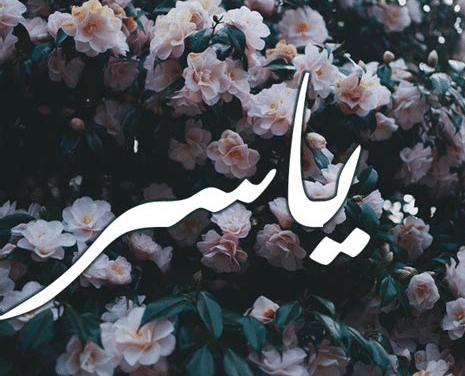 شعر باسم ياسر - صوراسم ياسر 4