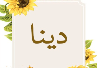 بوست باسم دينا 4