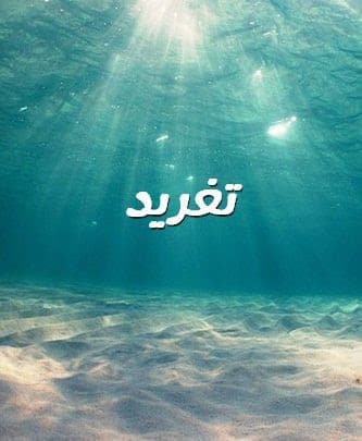 اجمل صور اسم تغريد 4