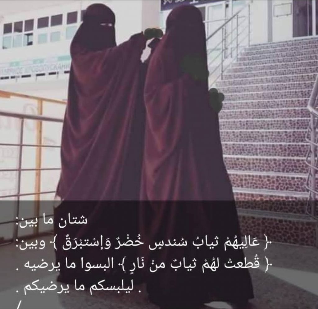 بوستات كلام عن النقاب 4