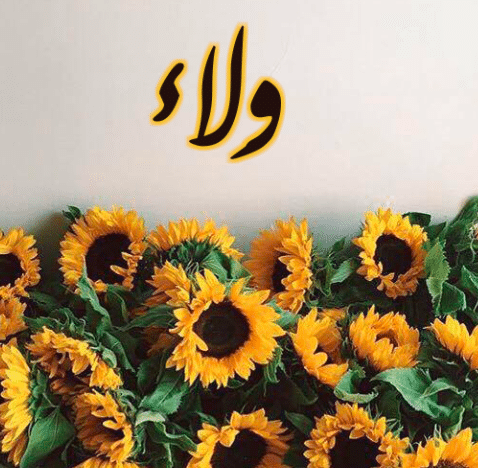 اسم ولاء بالورد 4