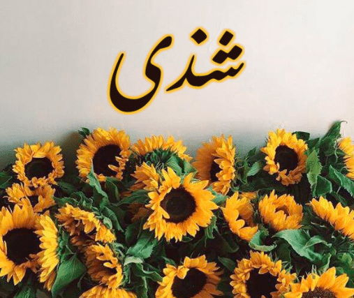 شعر باسم شذى - اسم شذى مزخرف بالورد 4