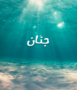 صور باسم حنان 4