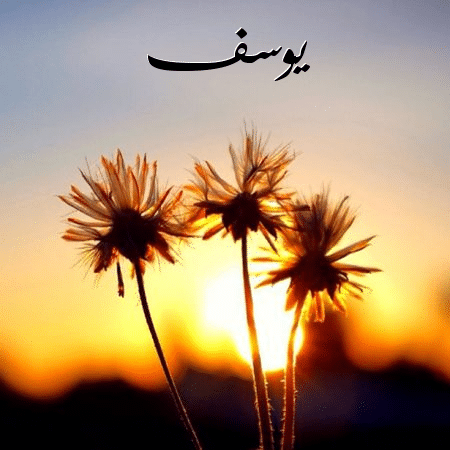 اجمل الصور عن اسم يوسف 5