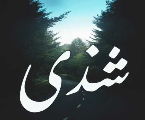 اسم شذى مزخرف بالورد 5