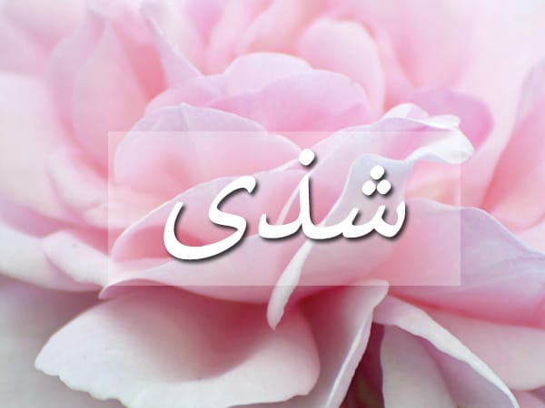 اسم شذى مزخرف بالورد 6