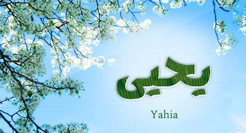 بوست باسم يحيى 6