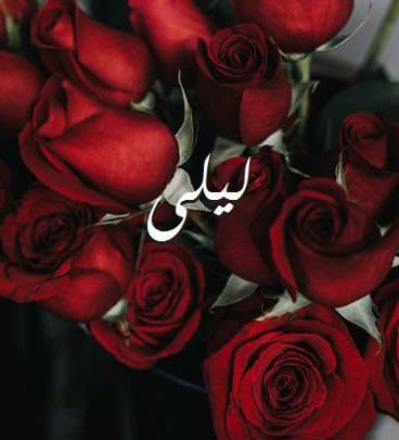 اسم ليلى مكتوب بالورد 1