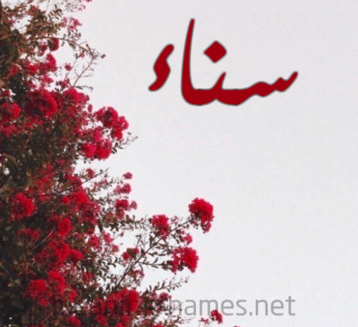 اسم سناء بالورد 1