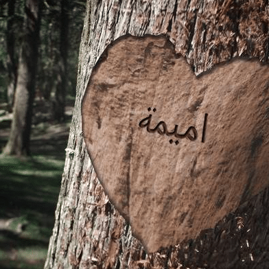 اسم أميمة مزخرف في قلب 2