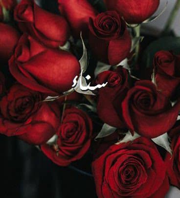 اسم سناء بالورد 2